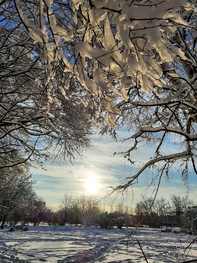 Фотография автора Светлана Дунаева