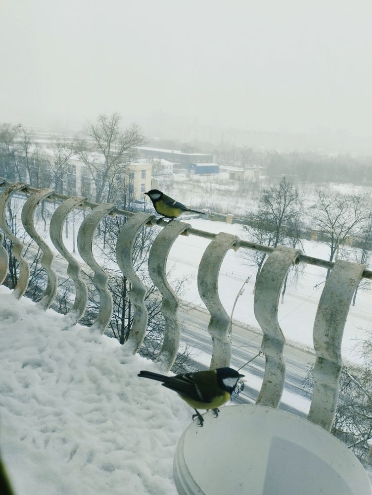 Photograph by Надежда Болтунова