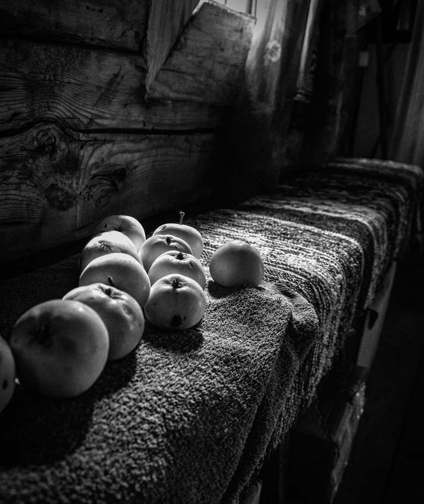 Photograph by LARISA PETROVA