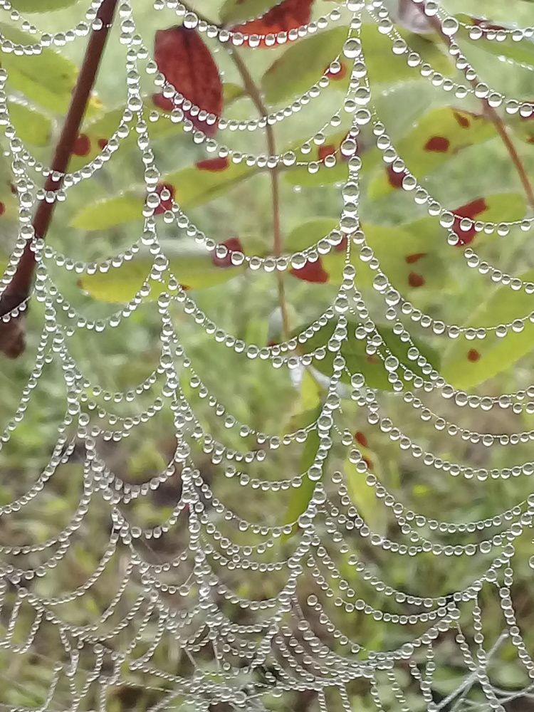 Хрустальные бусы