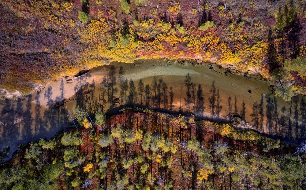 Photograph by Нуреев Камиль