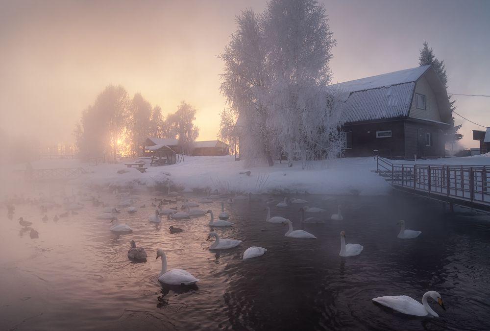 Photograph by Рубан Алена