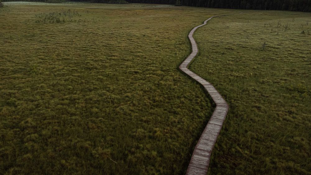 Photograph by Roman Vislobokov