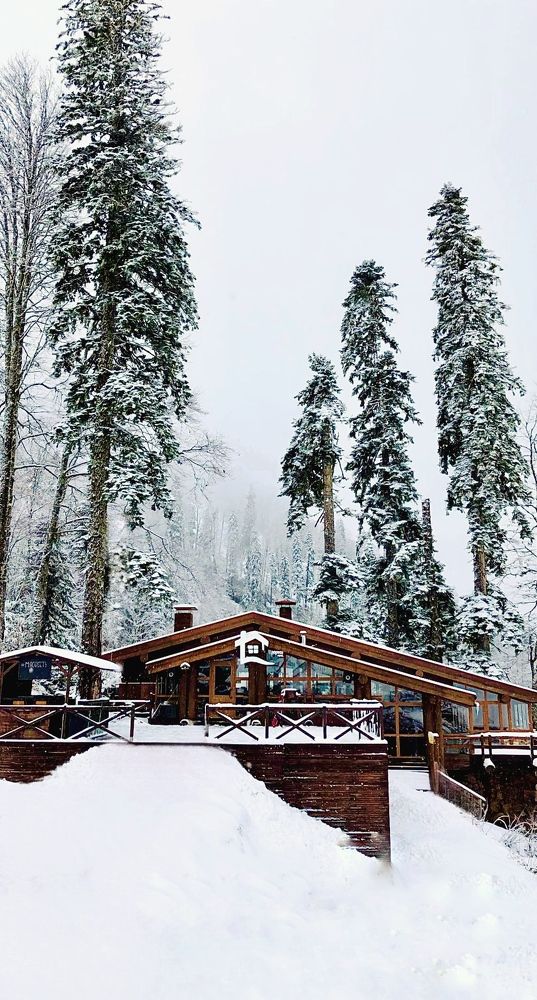 Photograph by Елена Громова