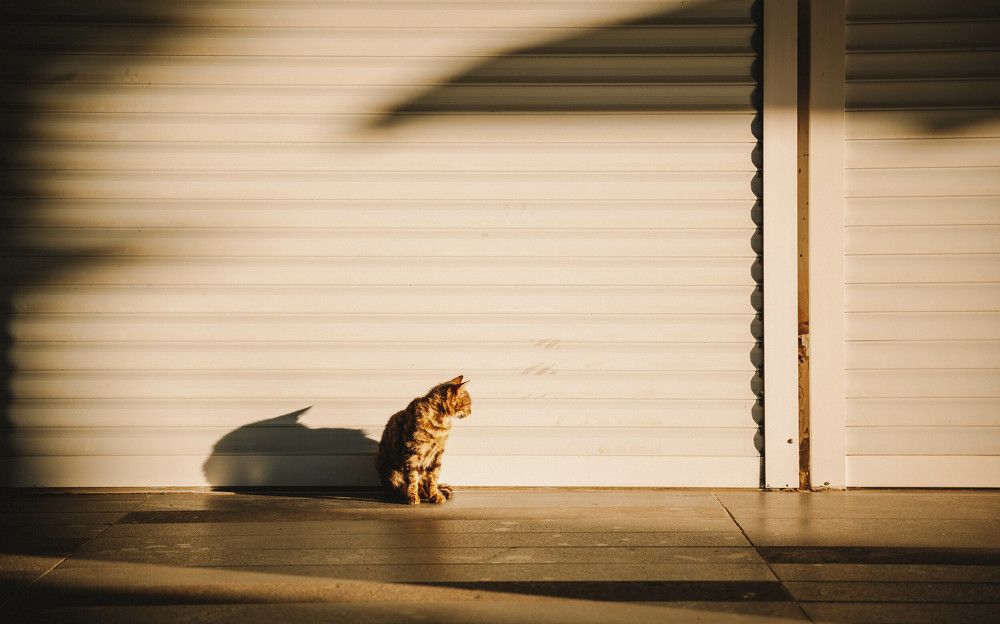 Photograph by Павел Мацепуро