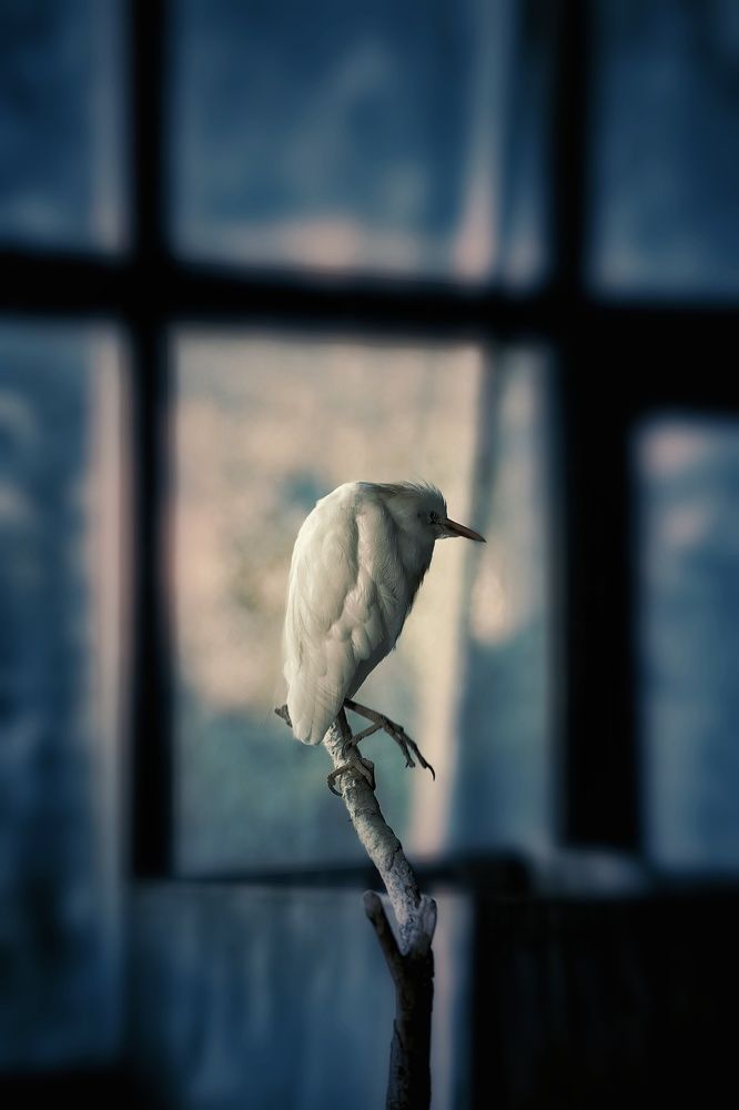 Photograph by Юлия Честнова