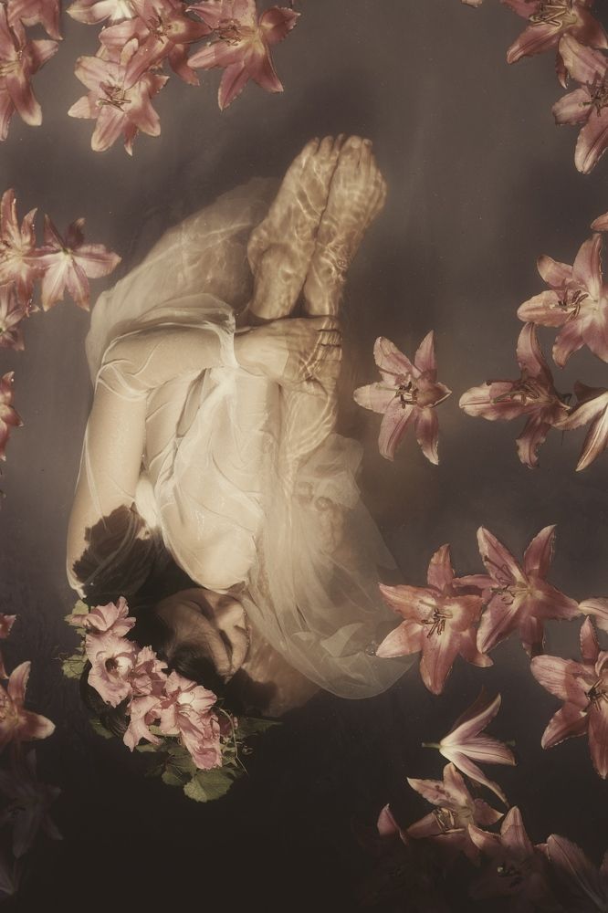 Photograph by Юлия Честнова