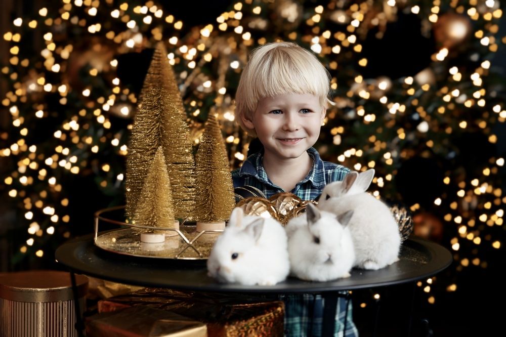 Photograph by Юлия Честнова