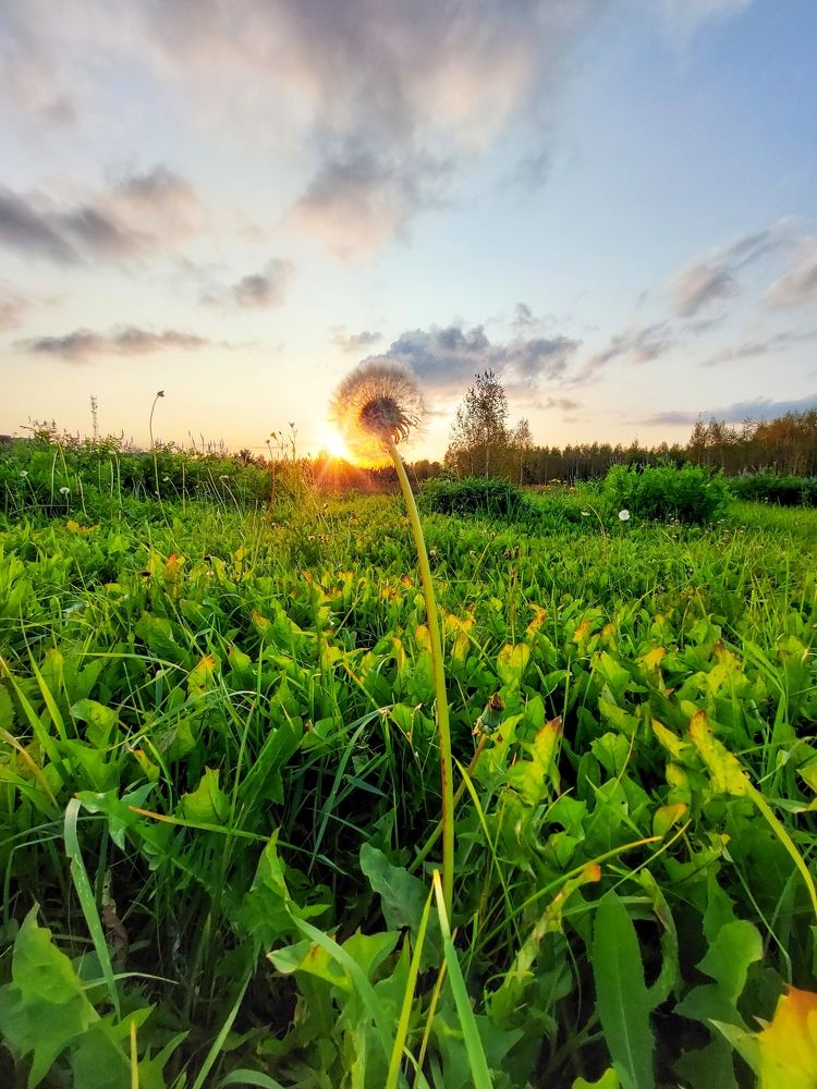 Photograph by Татьяна Емельянова