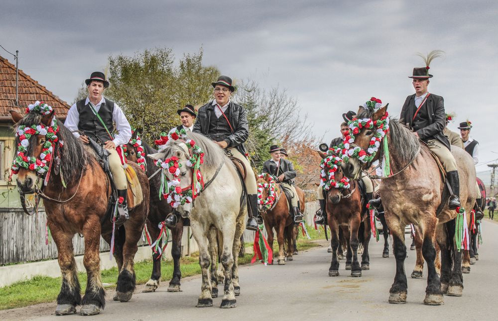 We invite everyone to the harvest ball