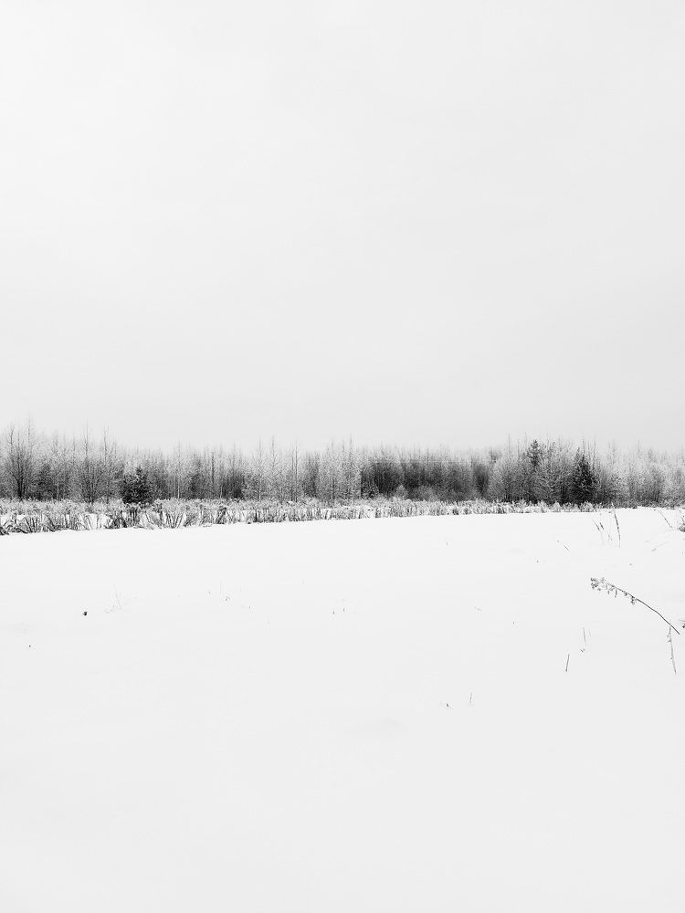 Photograph by Татьяна Емельянова