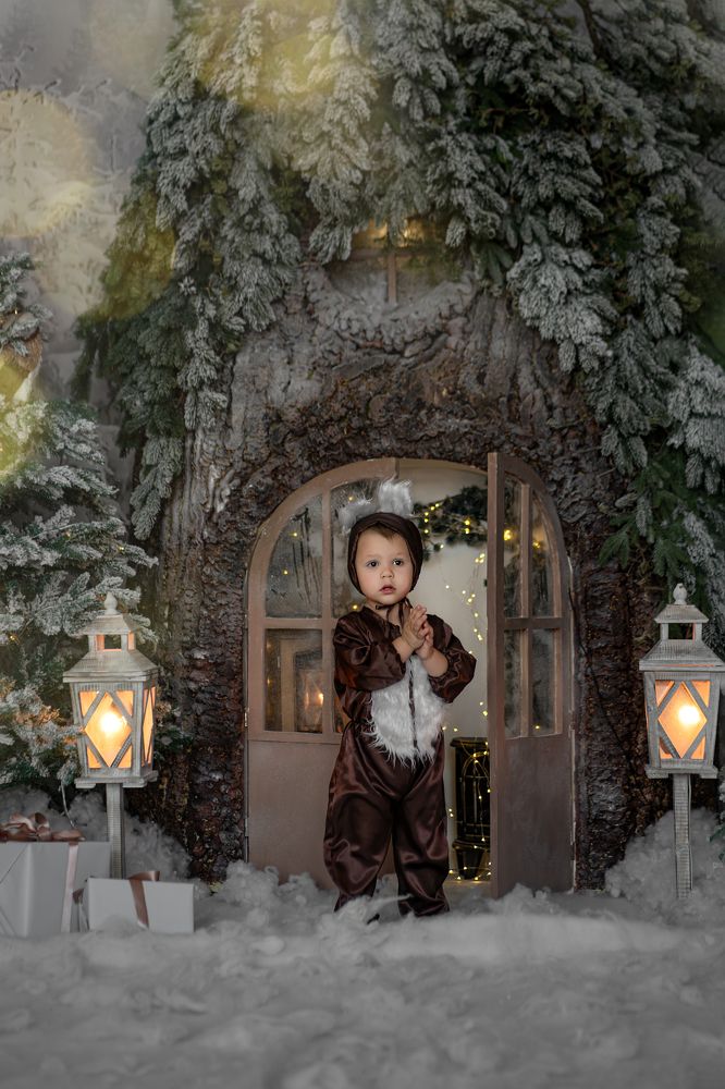 Photograph by ольга алашинова