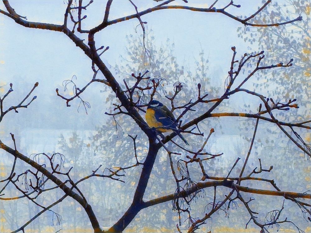 Photograph by Дмитрий Топко