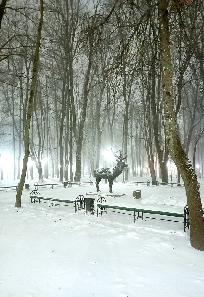 Серебристый вечер.