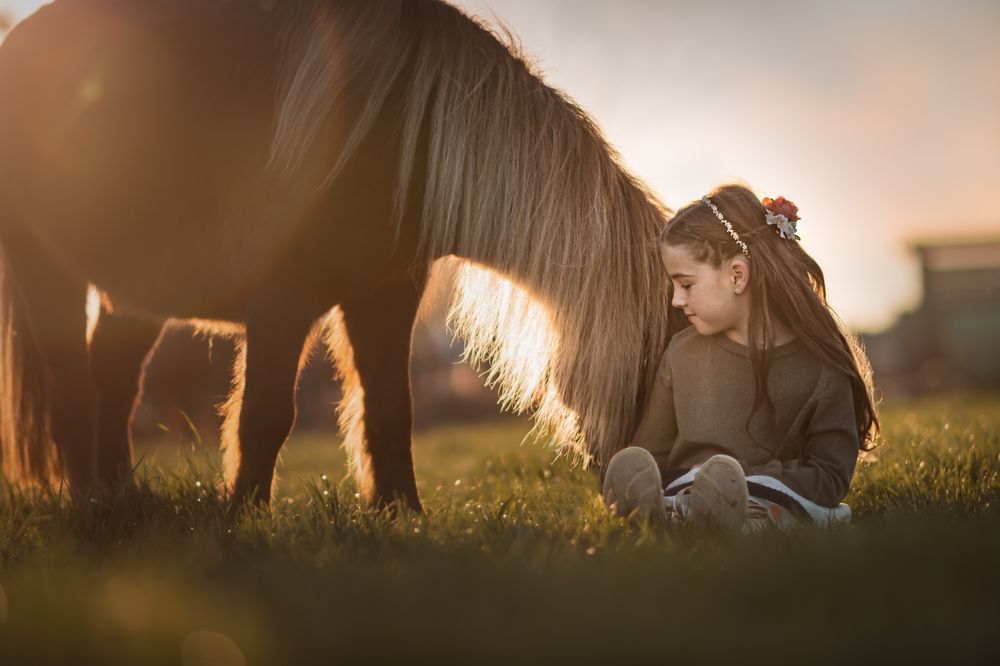 Photograph by By Meert Eline