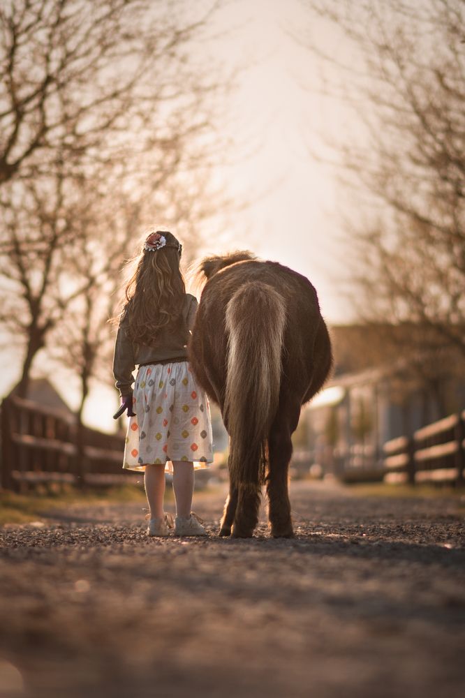 Фотография автора By Meert Eline