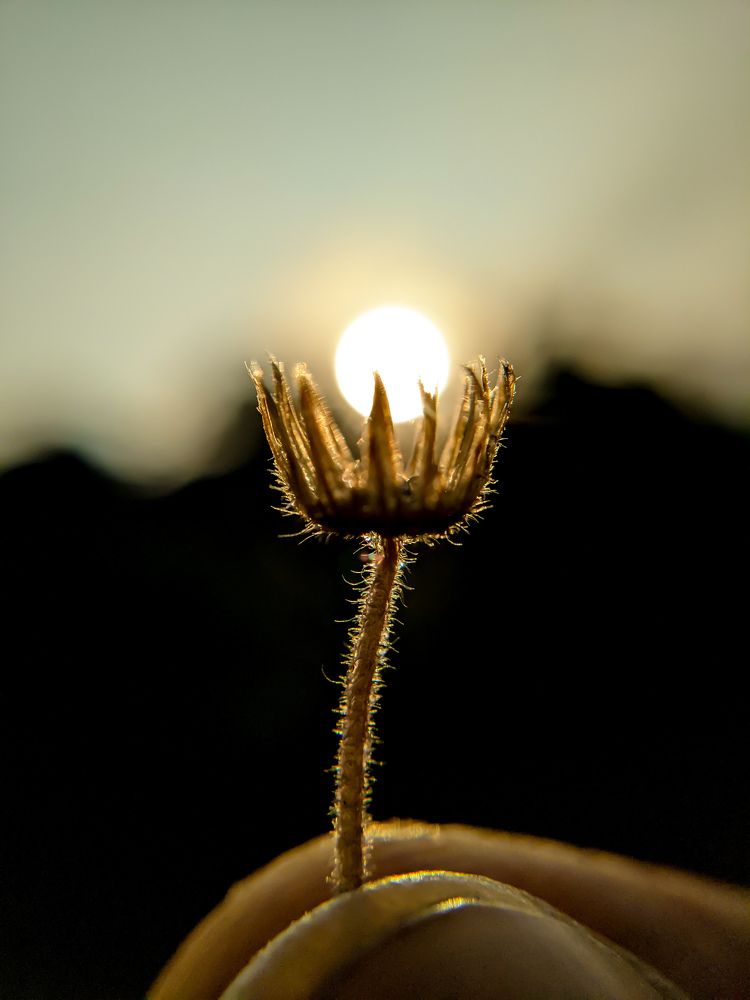 Photograph by Muhammed Nizam