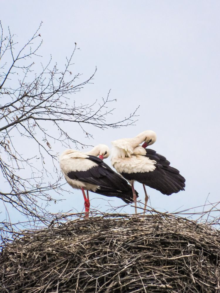 Photograph by Юлия Закопайло