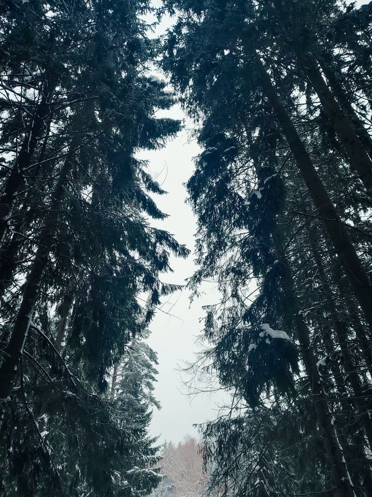 Photograph by Михаил Бородкин