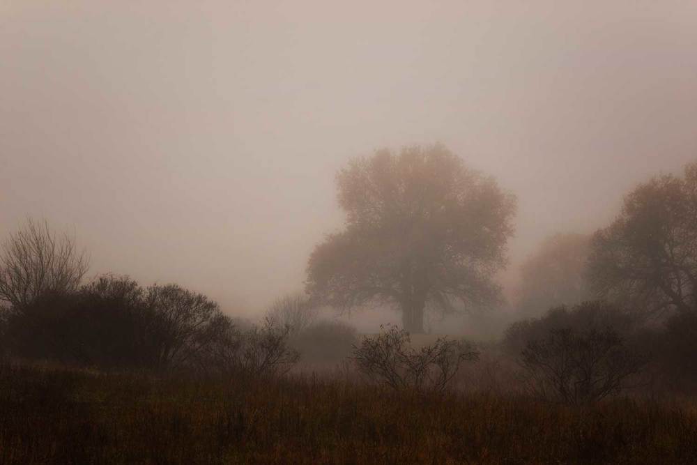 Фотография автора Игорь Баранов