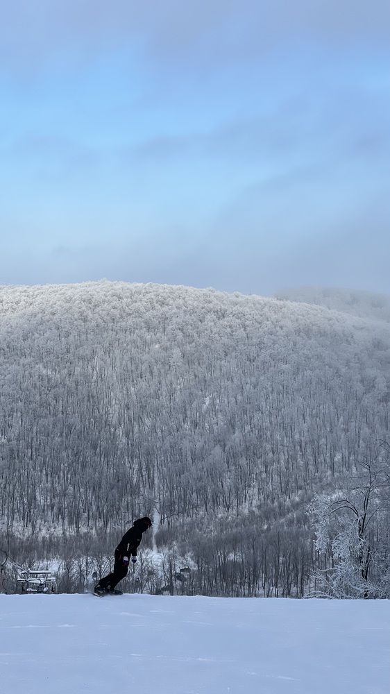 Фотография автора NINA