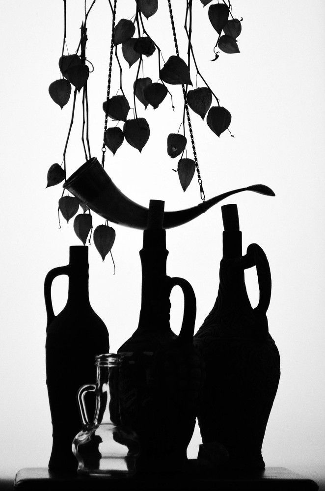 Photograph by 