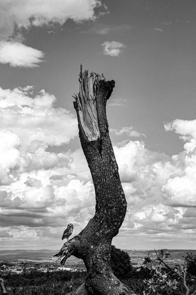 Photograph by Wilker Carvalho dos Santos