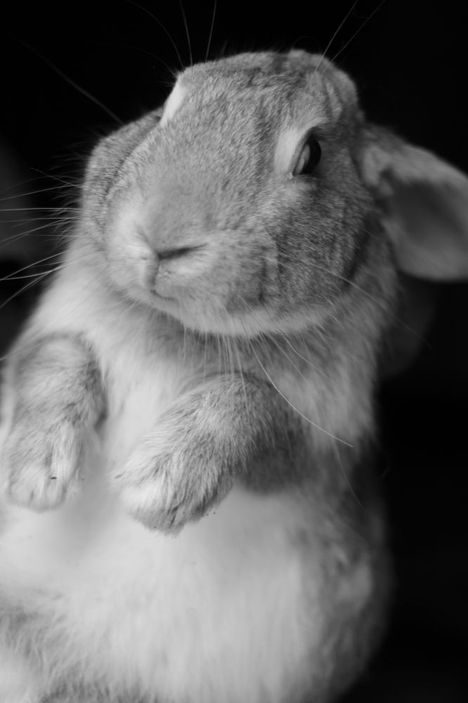 Photograph by Ксения Юргенфельд