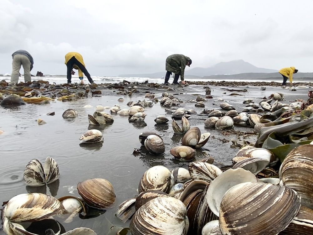 Photograph by Пётр Матюшков