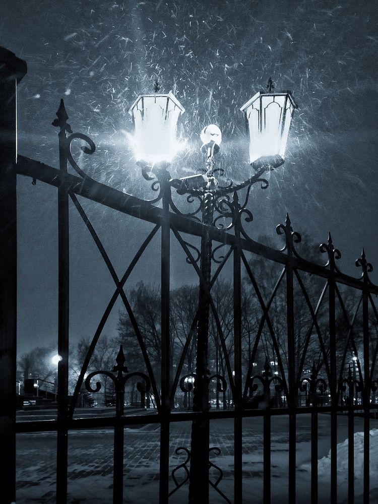 Photograph by Ольга Мартьянова