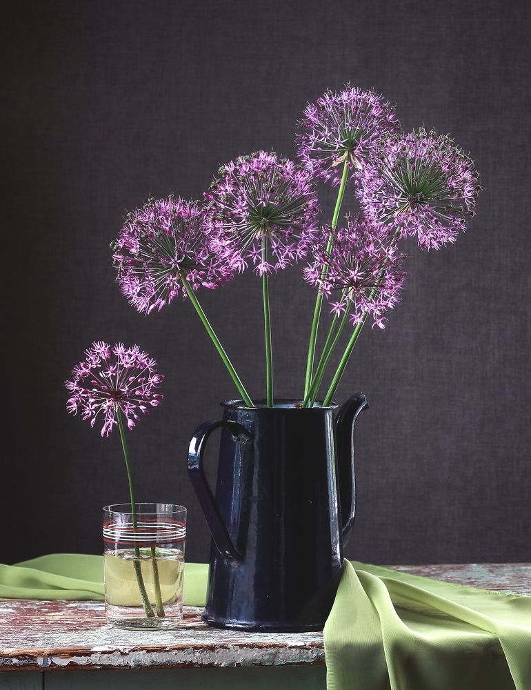 Этюдик луковый