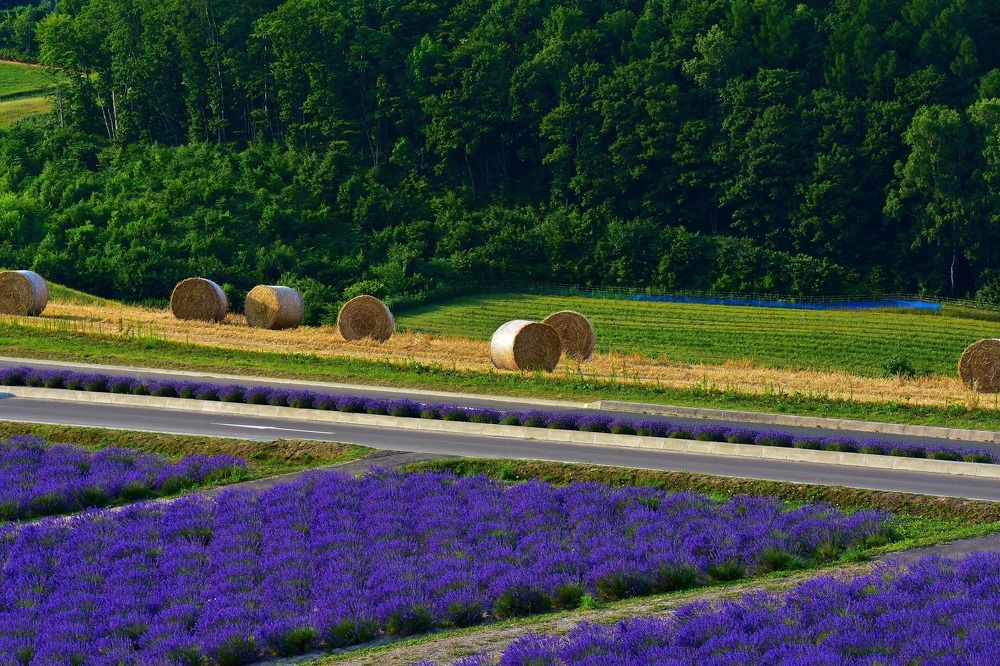 Фотография автора Sen Abhijit