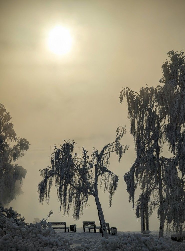 Photograph by Евгений Кузьмин