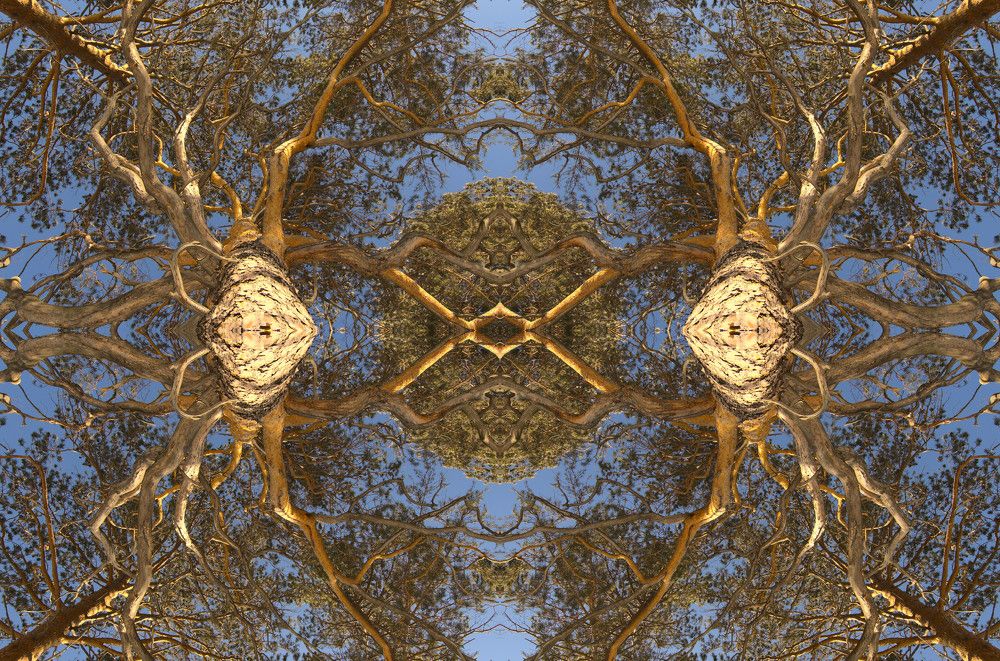 Photograph by Владимир Семиченко