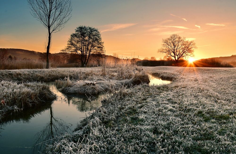 Photograph by Elena Wymann