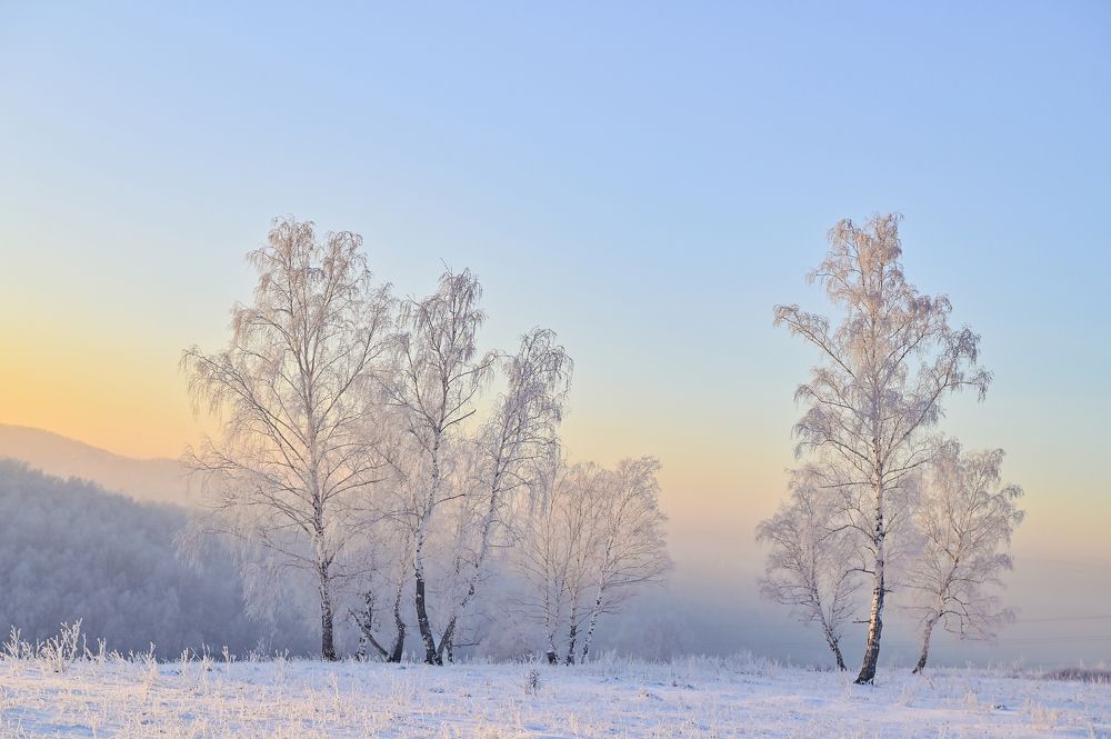 Photograph by Юрий Гау