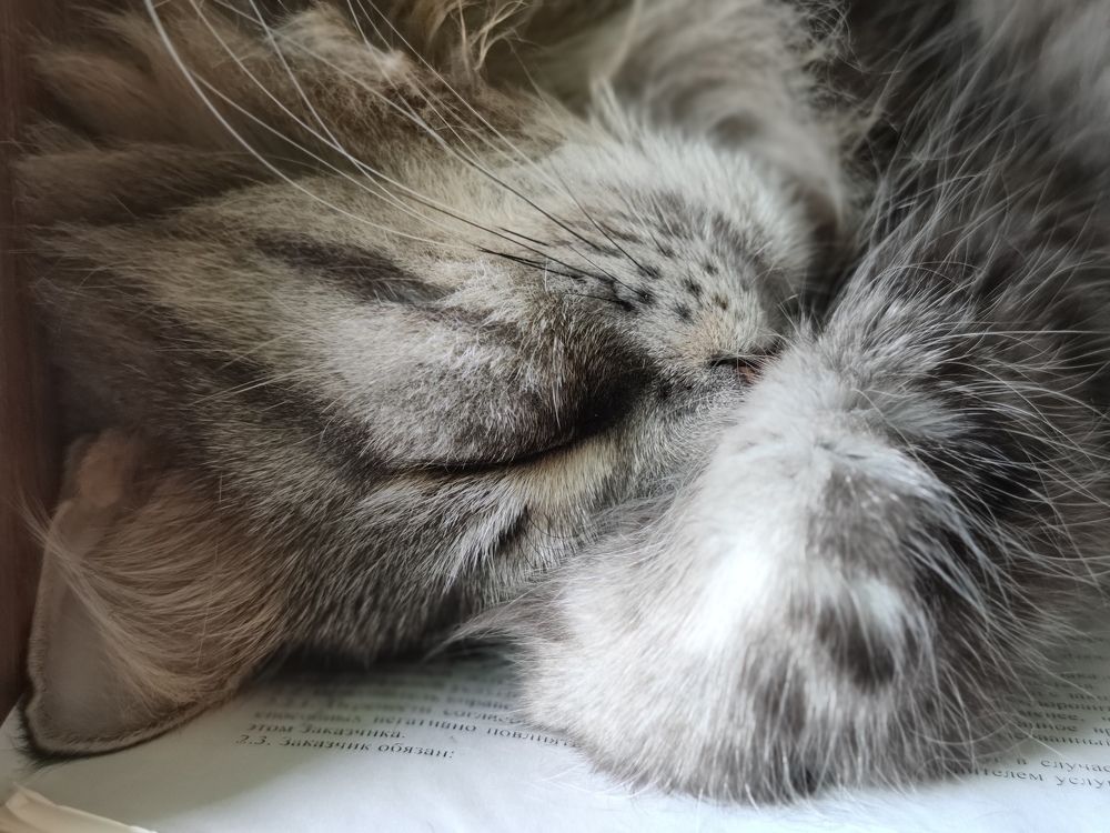 Фотография автора Марина Лукьянова