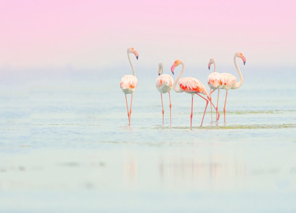 Photograph by G N RAJA