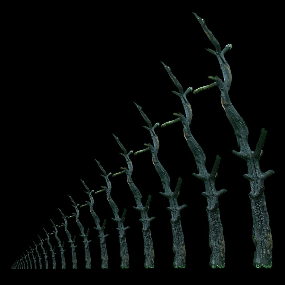 Photograph by Юрий Спасенников