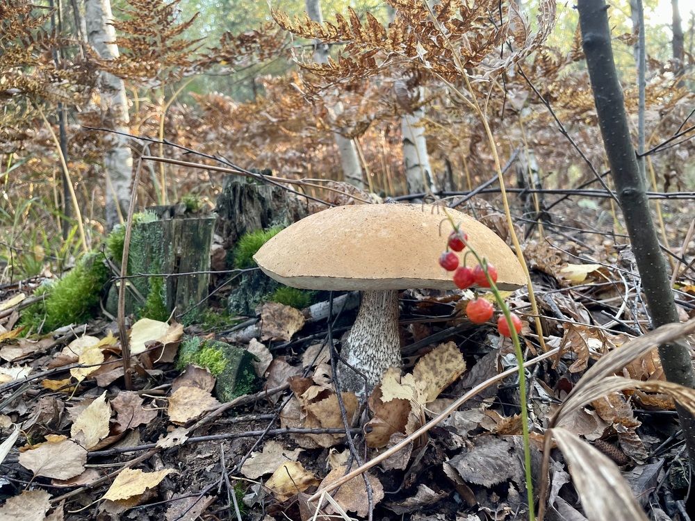 Photograph by Екатерина Шилкина