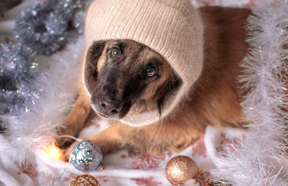 Photograph by Альфия Агзами