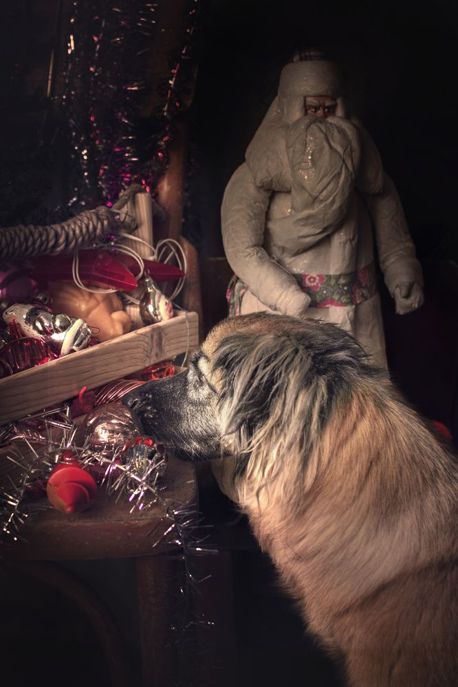 Photograph by Альфия Агзами