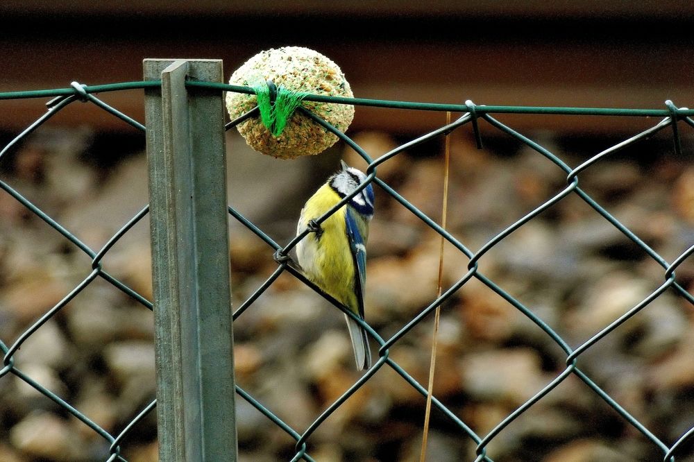 Photograph by backareva irina