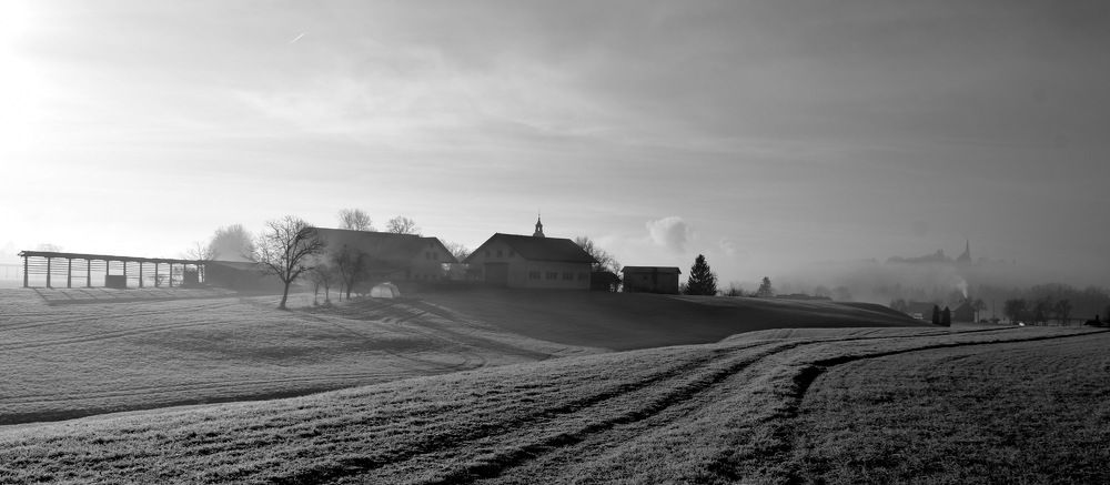 Photograph by Lojze Burja