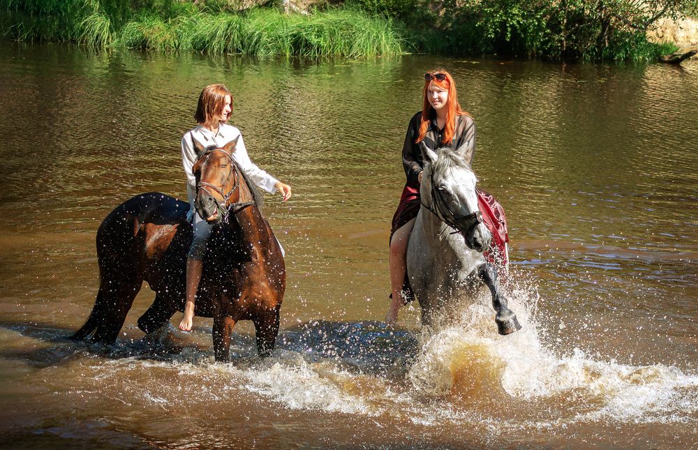 Когда у коня случилась радость.