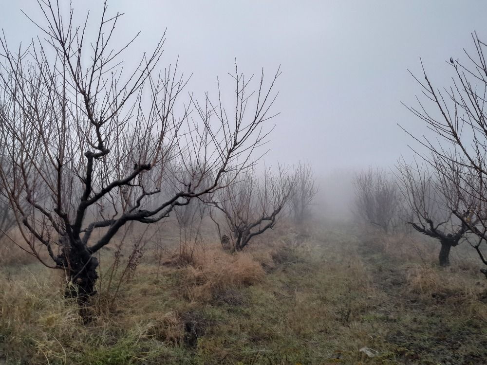 Photograph by Татьяна Ситникова