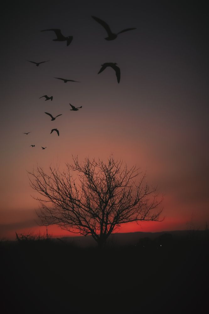 Photograph by Юлия Карпова