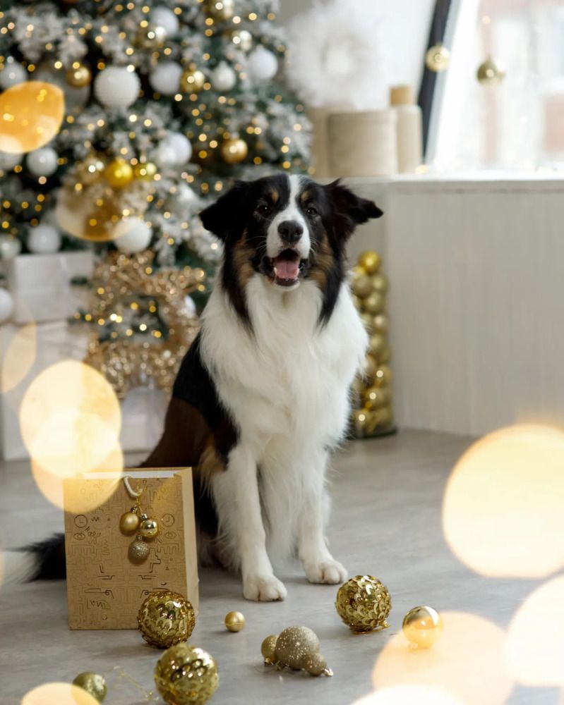 Photograph by Ирина Смелянец