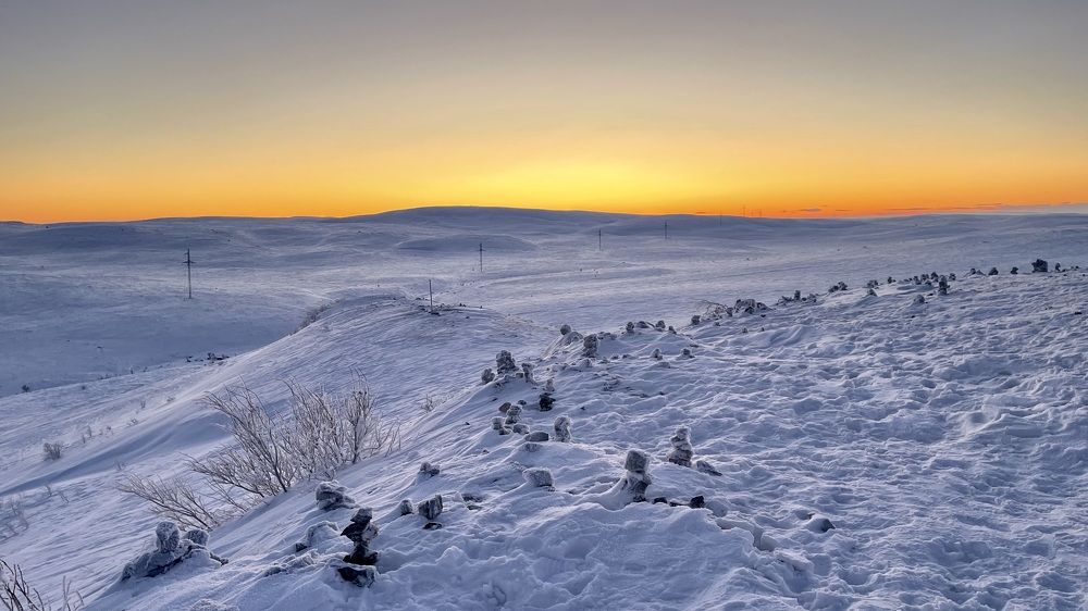 Фотография автора Юлия Шумейко