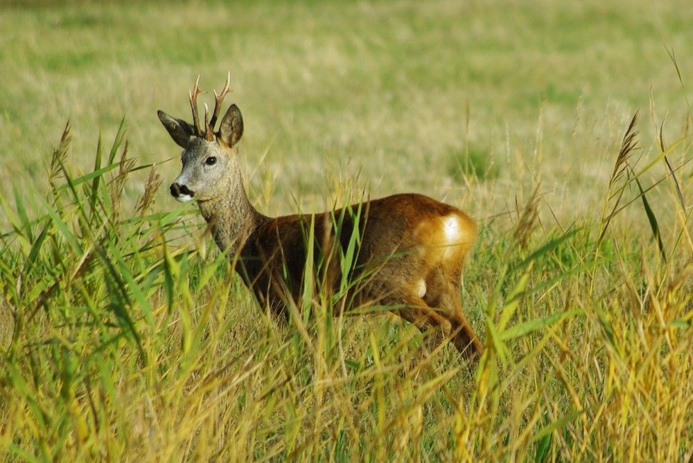 Photograph by aleksei maiberg